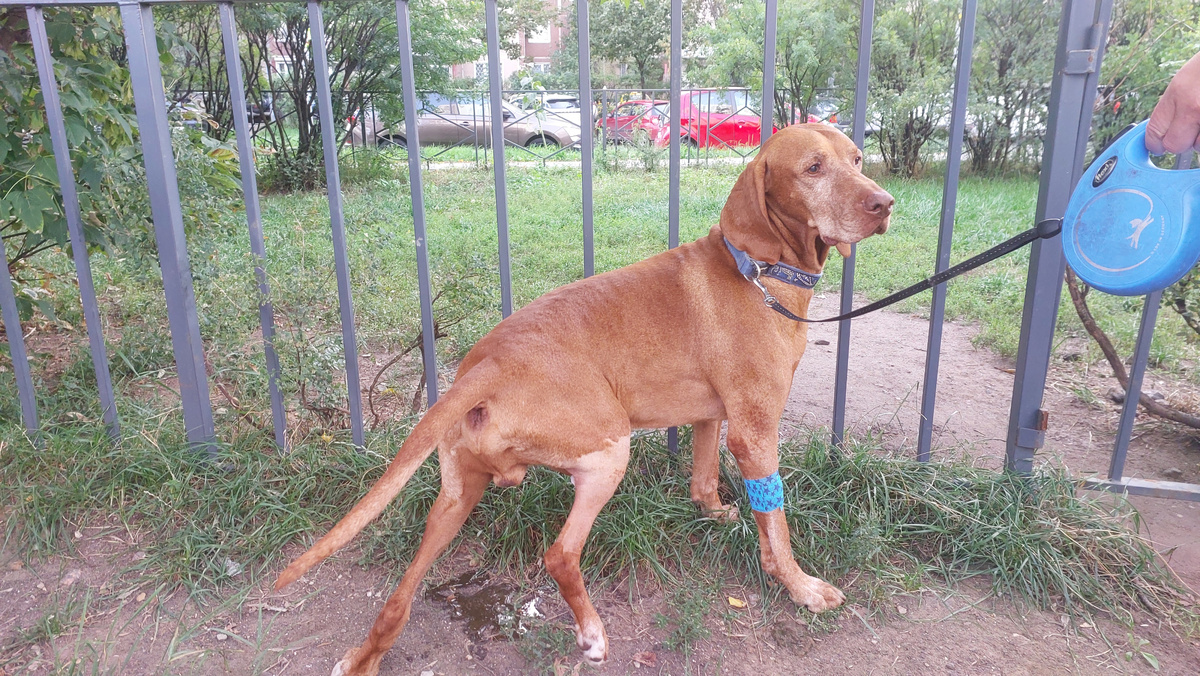 долго терпеть пришлось..