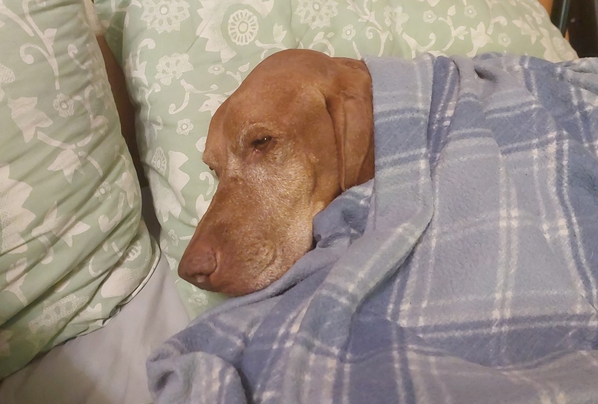 отлёживаемся после всего этого..