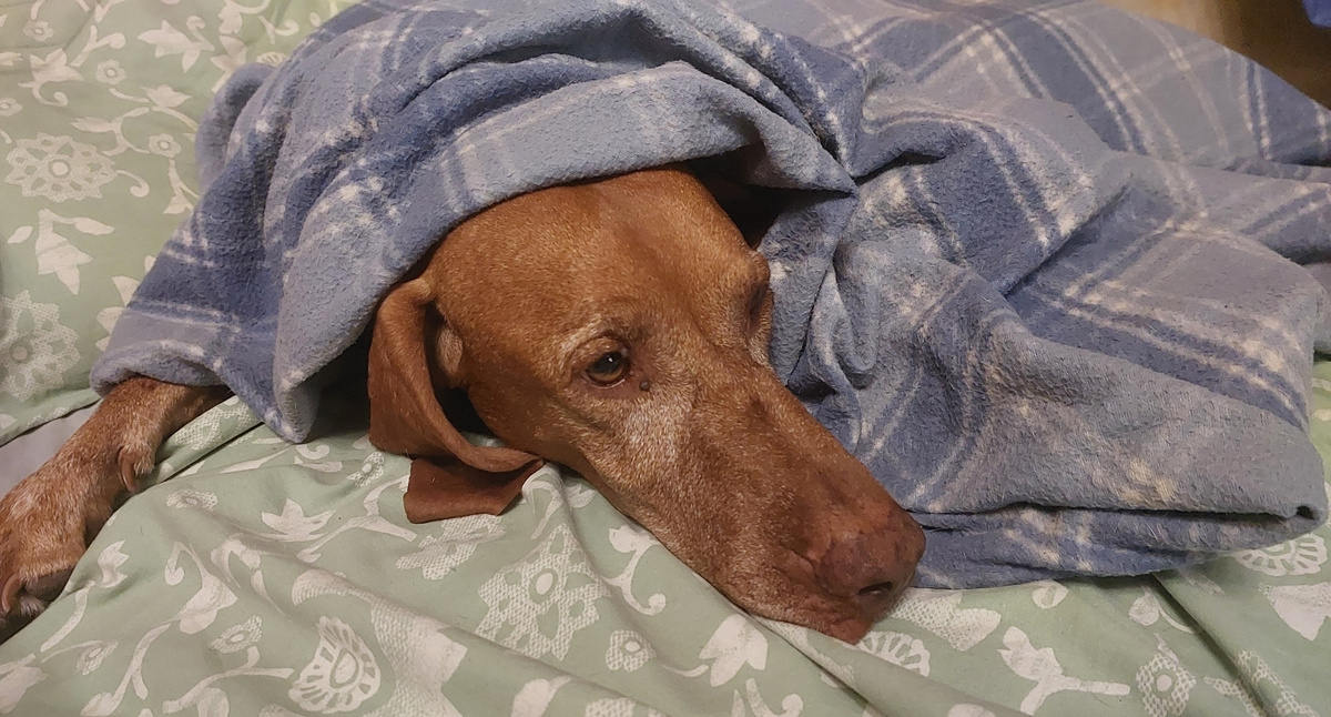 пока ещё весь потеряный..