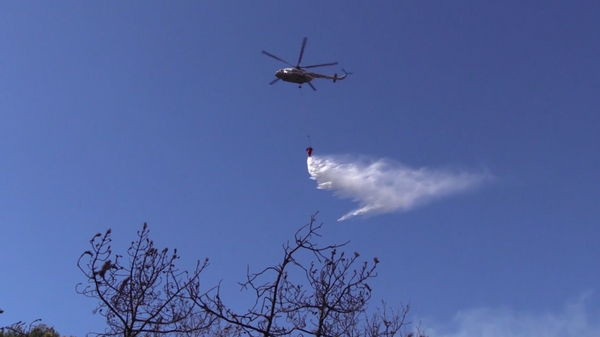    © МЧС России