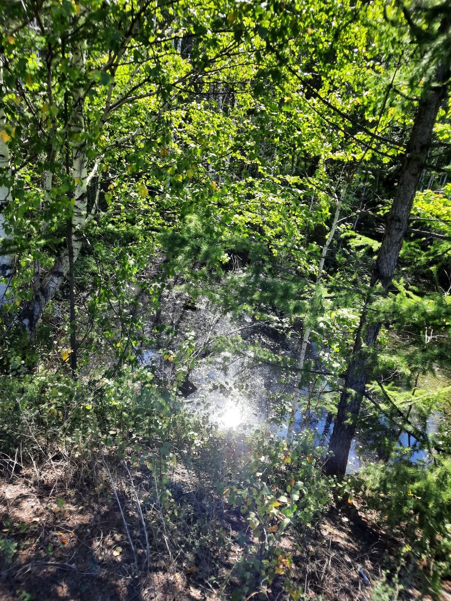 Фото автора.