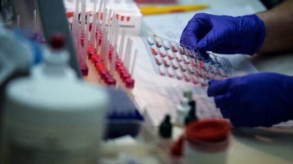    © Sputnik / Владимир Астапкович