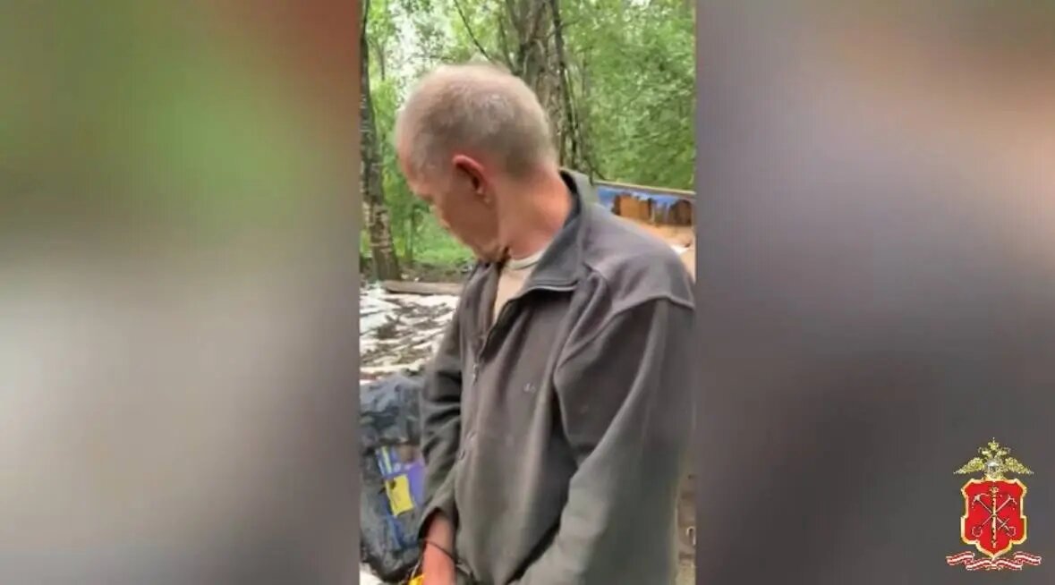    Фото: скриншот пресс-службы ГУ МВД по Петербургу и Ленобласти