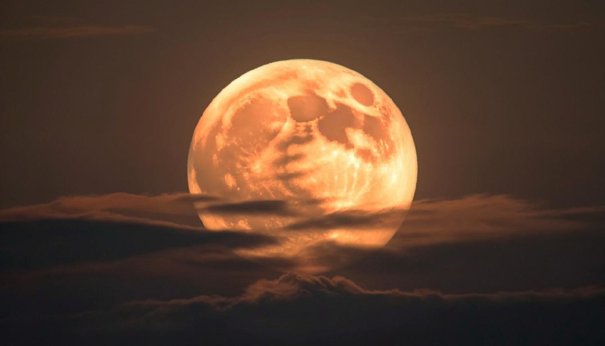    Фото сгенерировано Kandinsky 4.1