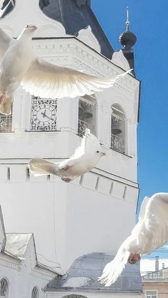 🙏🙏🙏🙏🙏🙏🙏🙏🙏🙏🙏🙏🙏🙏🙏🙏🙏🙏