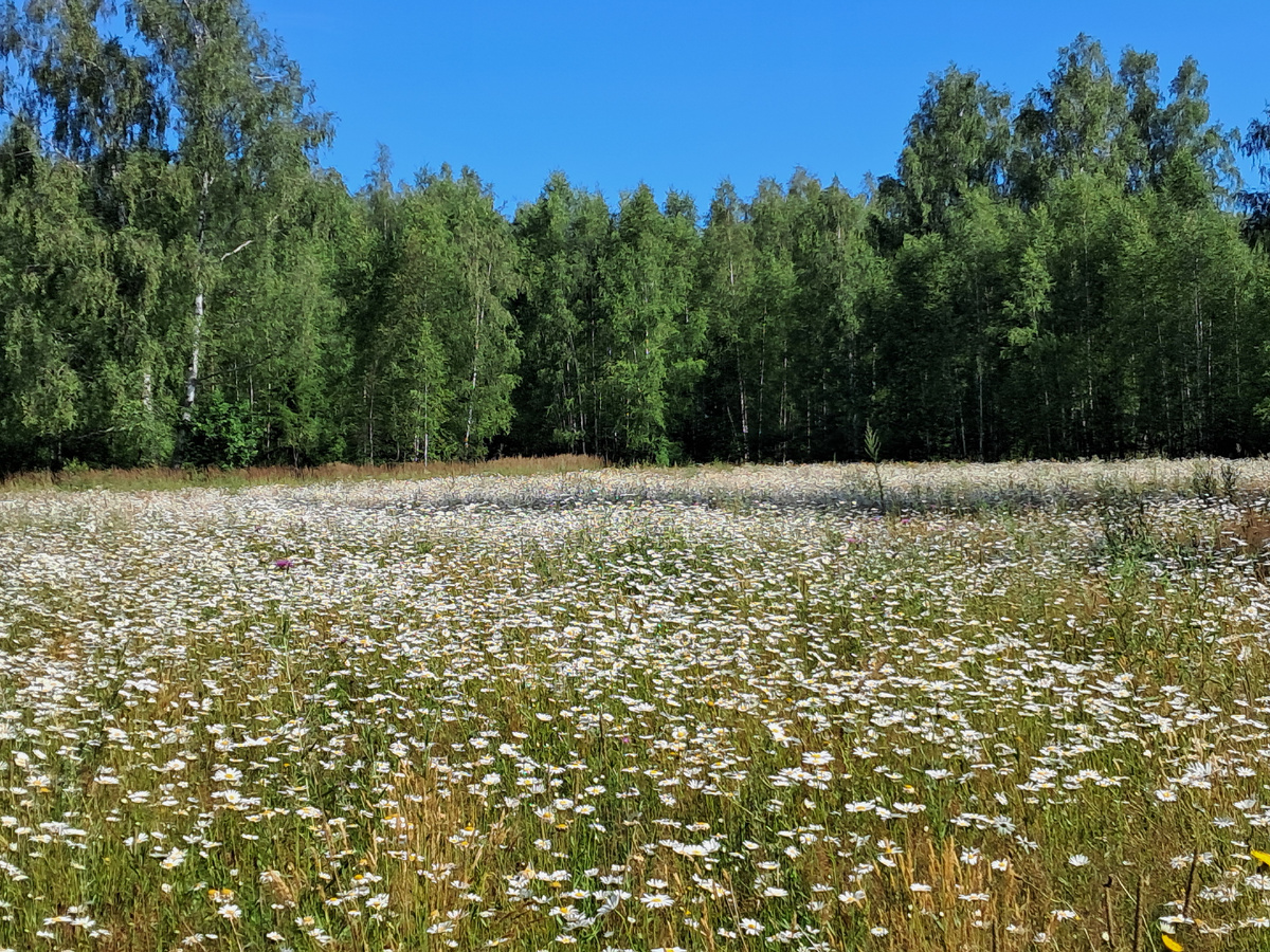 Совсем недавно 