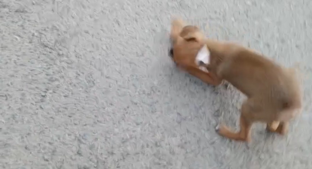 Малыш берет игрушку