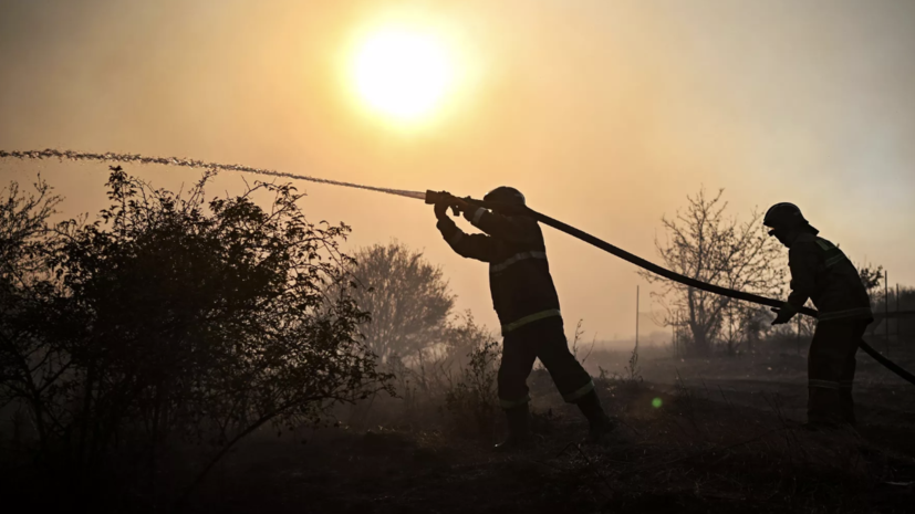   РИА Новости