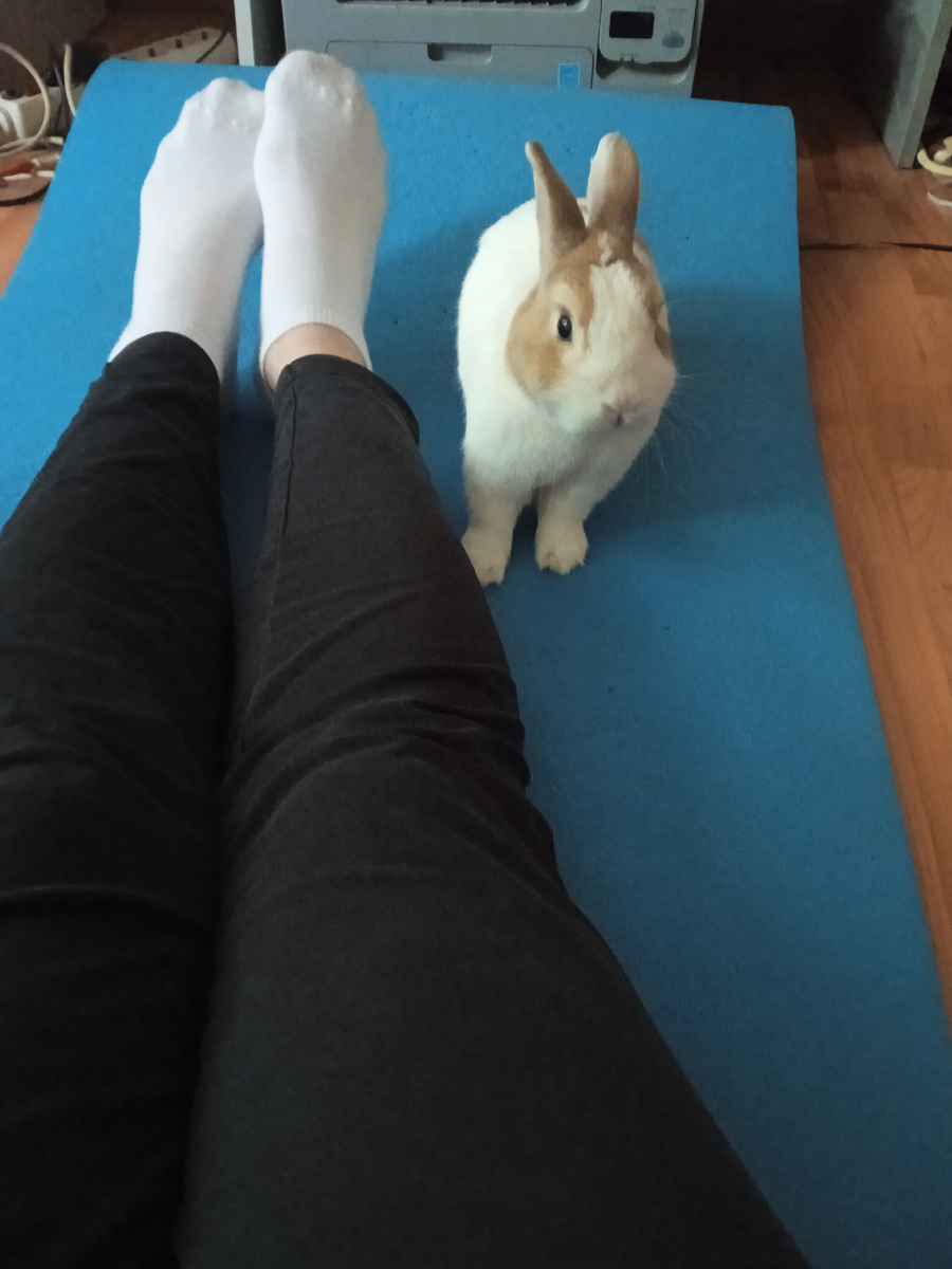 Что?? Неправильно хозяйка ты это упражнение делаешь! 