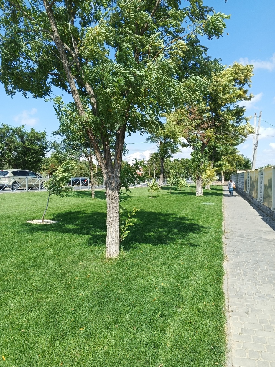 Зелёные газоны и роспись. Фото Галины Малышевой.