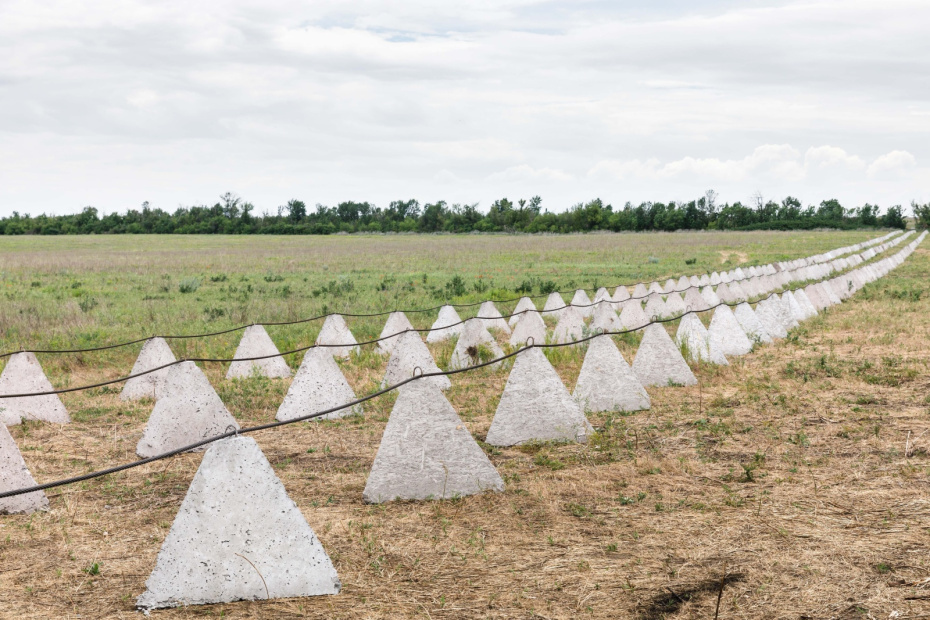    Shutterstock/FOTODOM