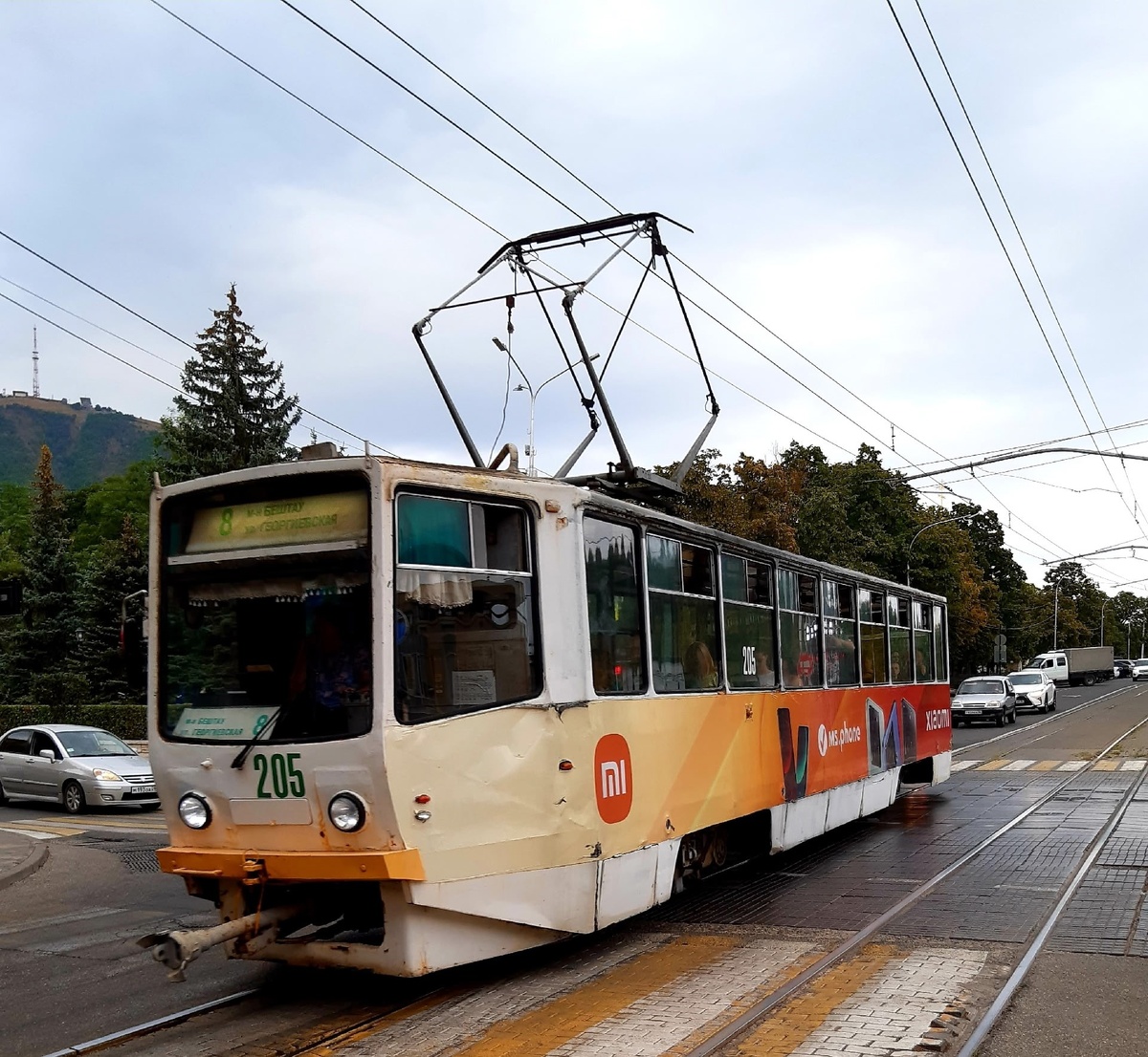 Фото Елены Кураповой, публикуется с разрешения автора