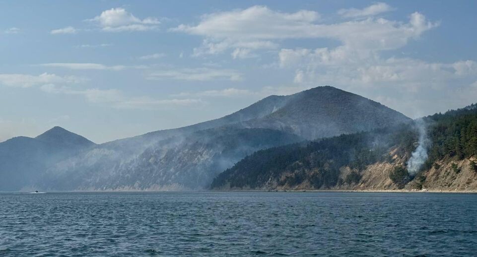    губернатор Краснодарского края Вениамин Кондратьев / Telegram