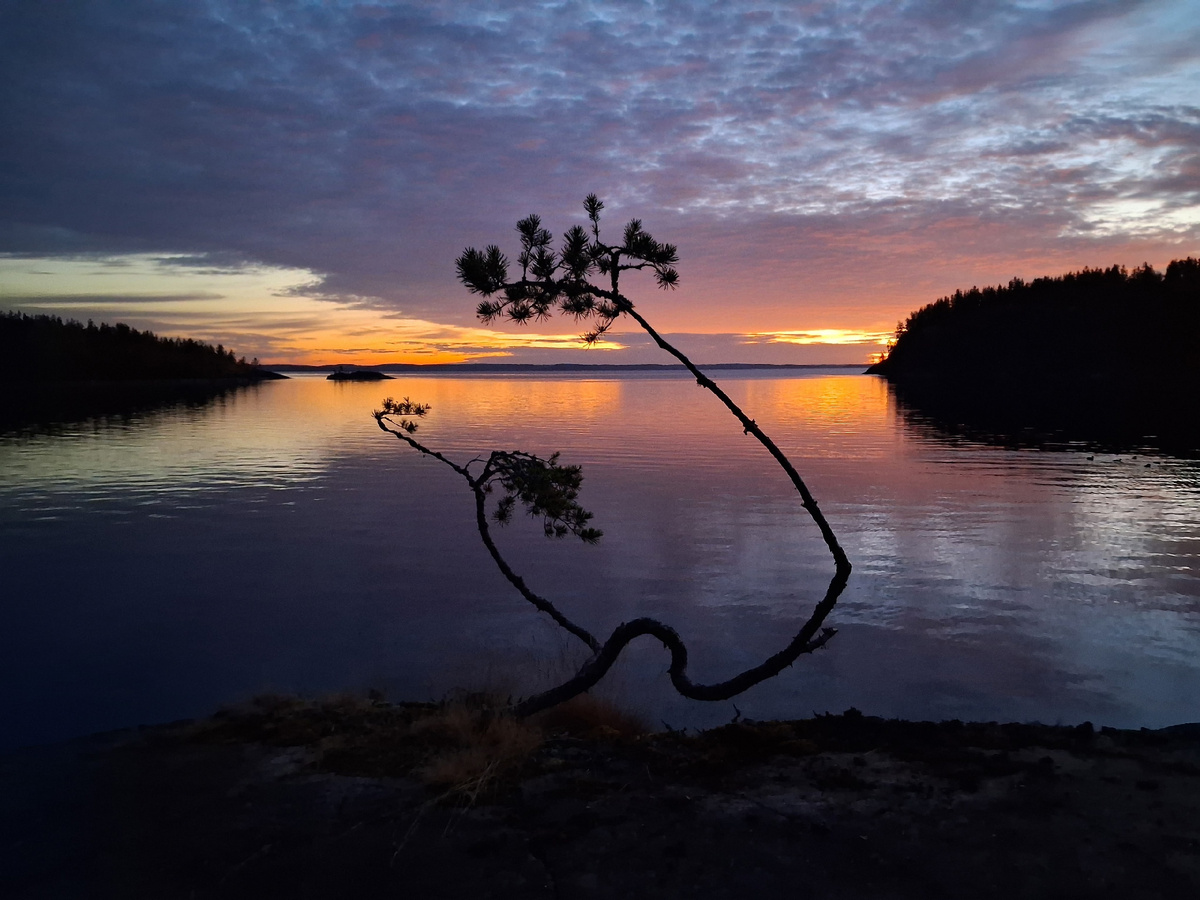 Автор фото: Анастасия Лушникова