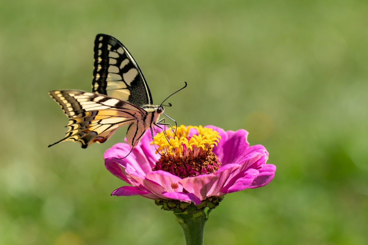 Кадр взят из открытых источников.