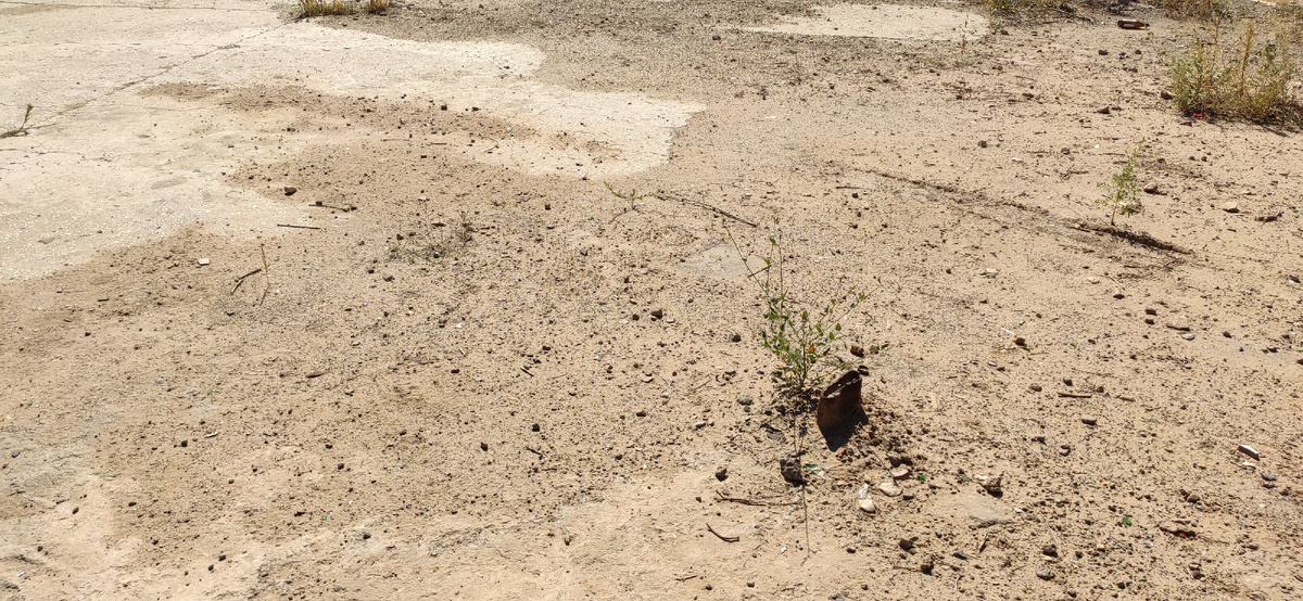 Остаток забора воспоминания 