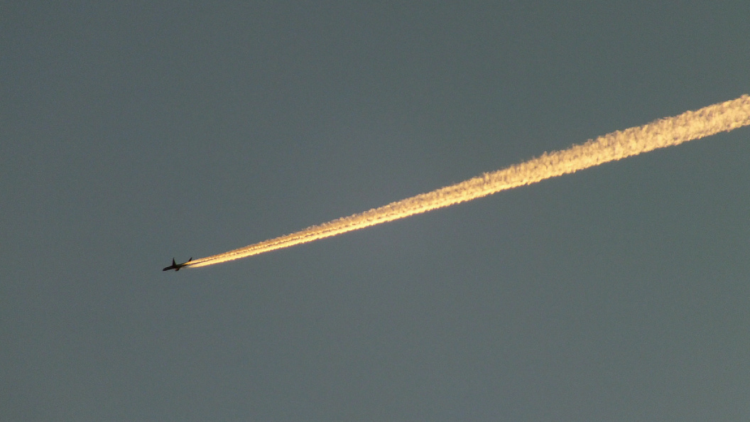    Фото: Victor Lisitsyn/Global Look Press