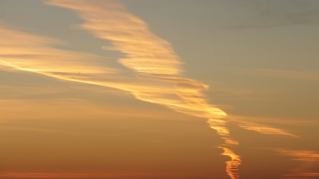    Фото: Victor Lisitsyn/Global Look Press/Globallookpress