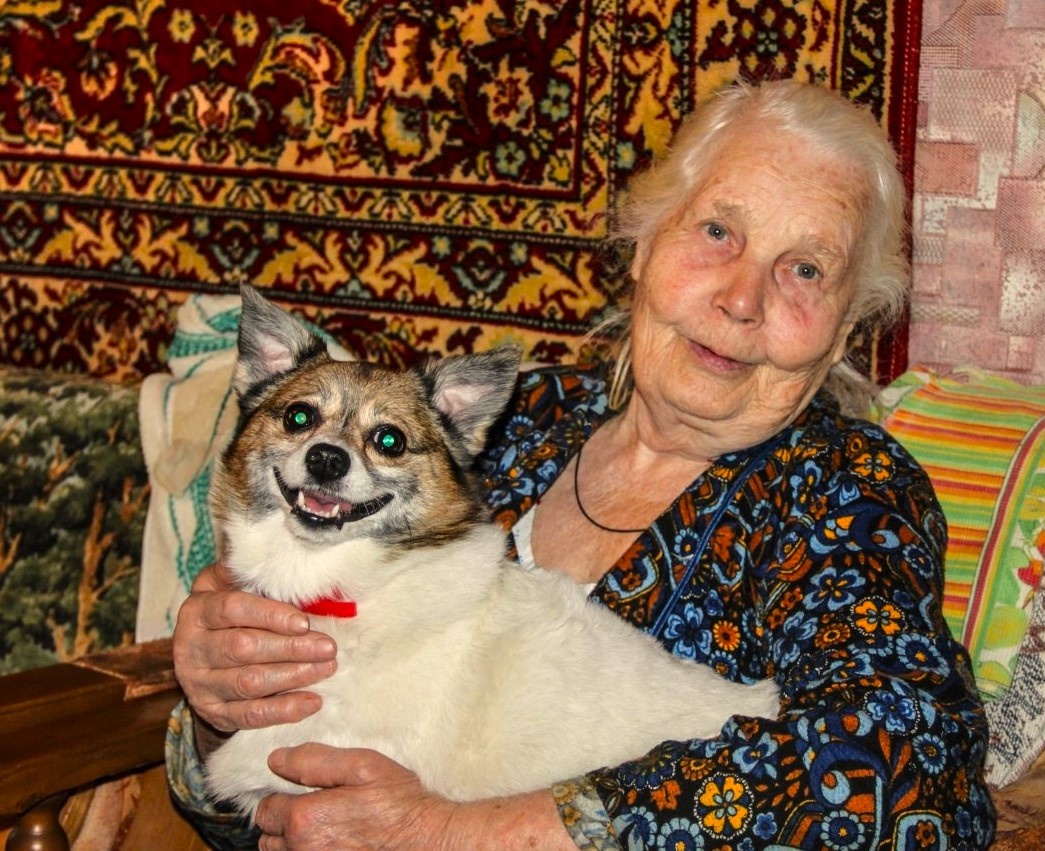 Из свободных источников