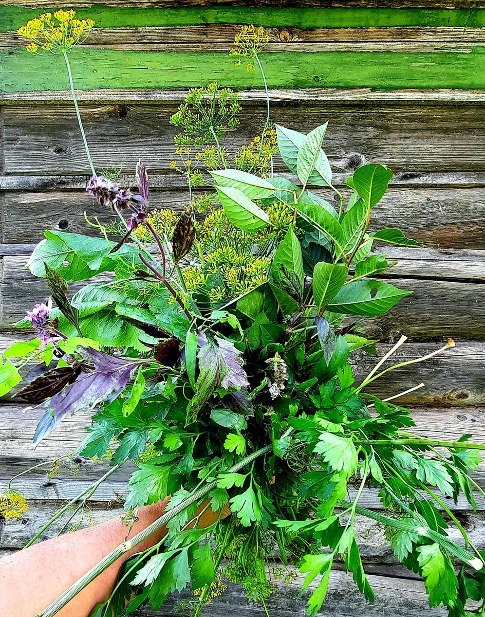 Фото автора.