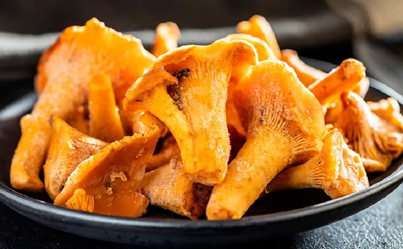 Как жарить лисички, чтобы они были мягкими и ароматными: готовим особое блюдо