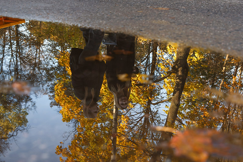    Наталья Шатохина/NEWS.ru