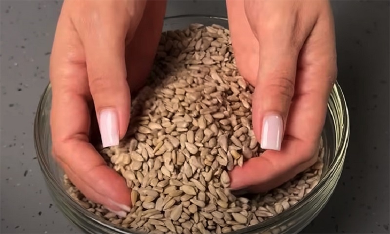 Домашняя халва из семечек: натуральный десерт с насыщенным вкусом