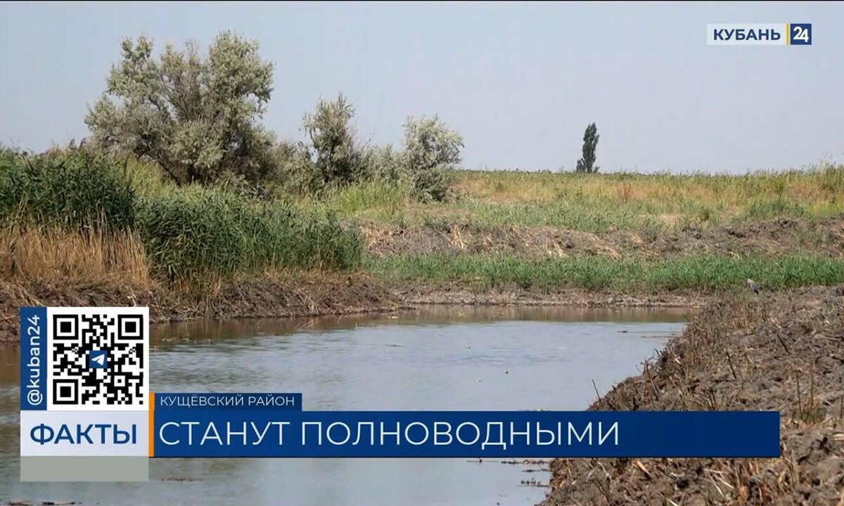    Видео канала «Кубань 24»