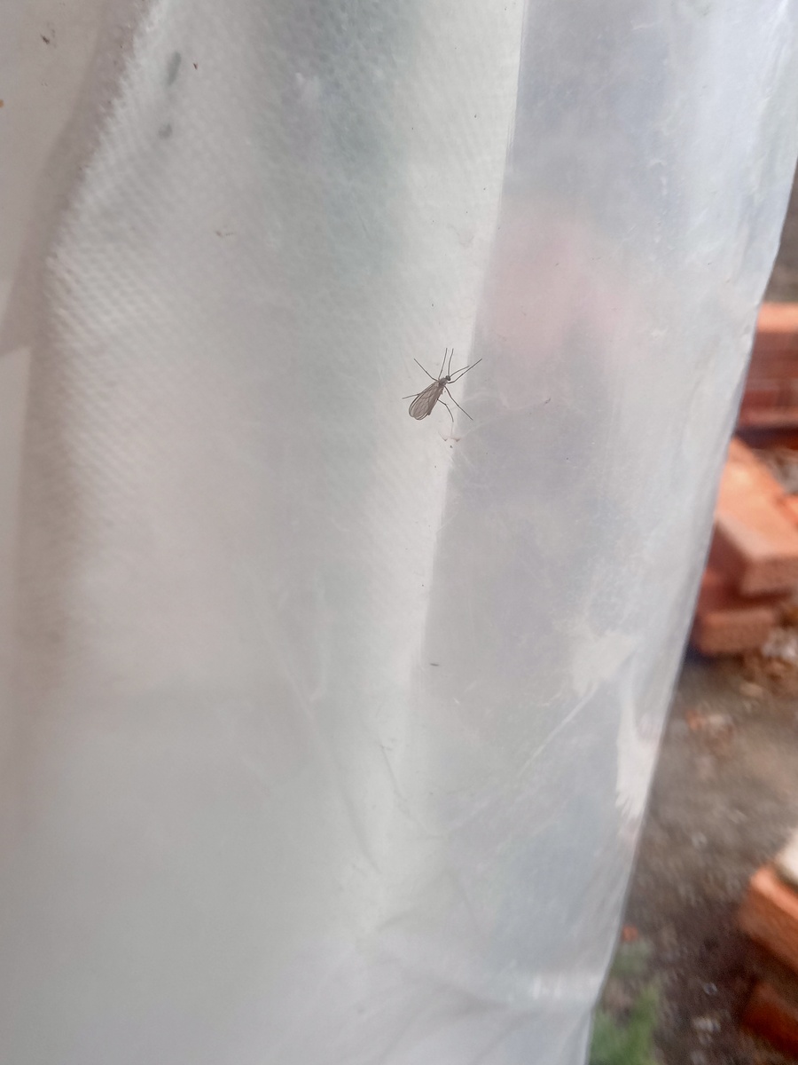 Фото 02.02.2025г