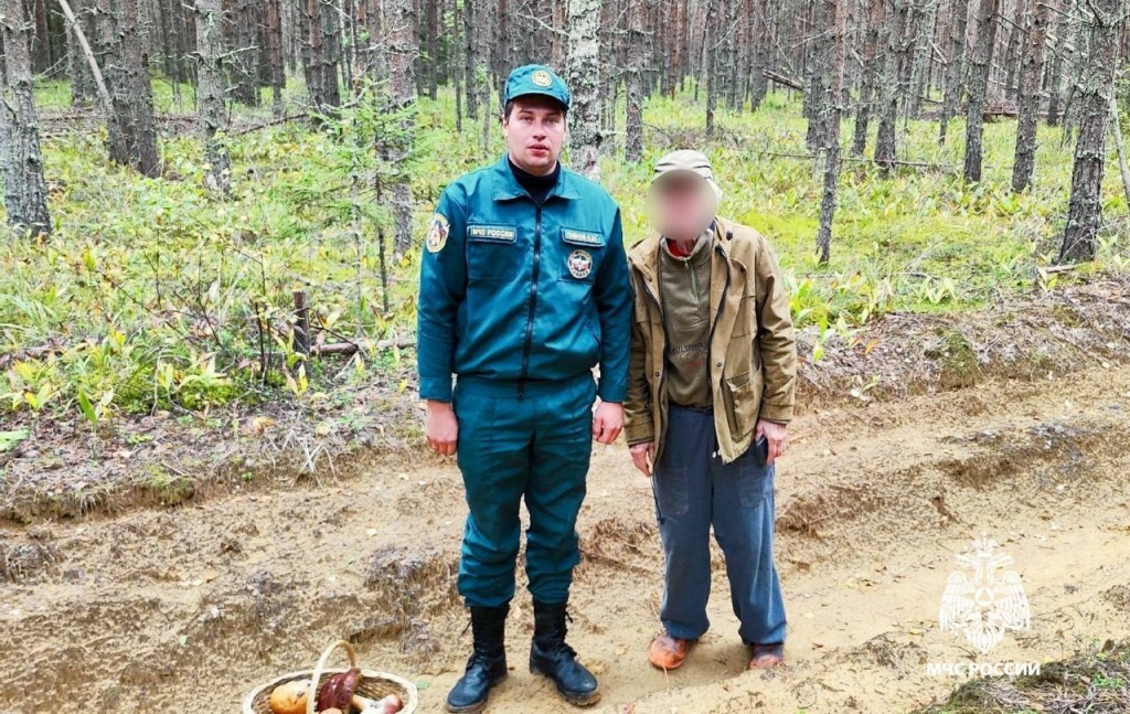 Сбор грибников в Тверской области продолжается