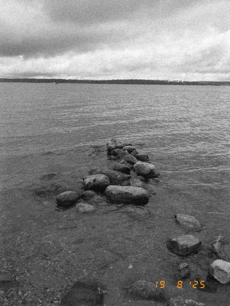 Далее и везде вы можете листать снимки. Один пример снять на X Half, а второй на фотопленку