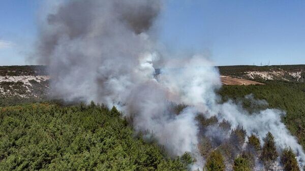    © ГУ МЧС России по г.Севастополю