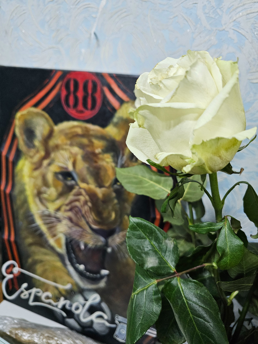 Картину написала моя свекровь. Это львица Киара,она живёт в эспаньоле. 