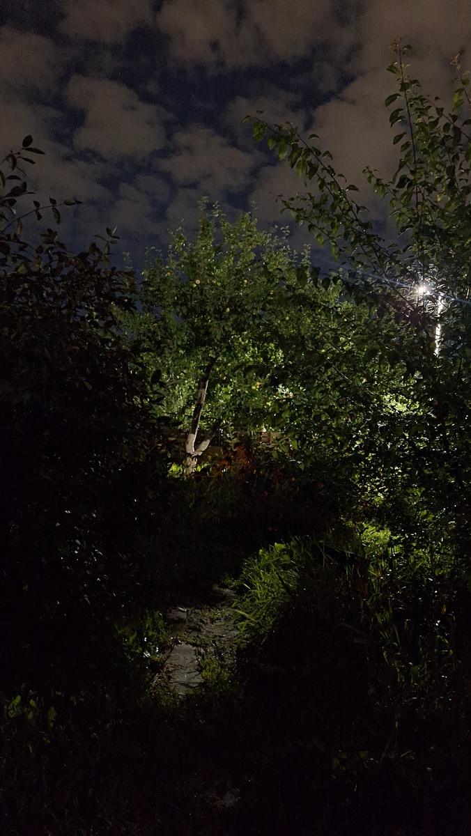 Фото автора. Сплошная мистика.