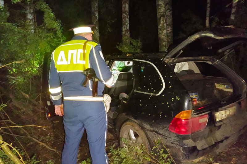    Фото: УГИБДД по Свердловской области