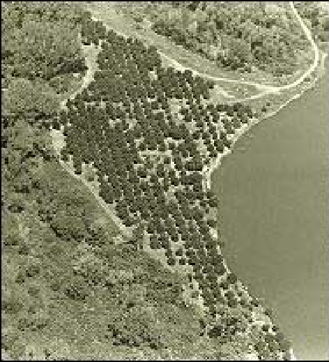 Вид на фруктовый сад и окрестности с высоты птичьего полета
Архив штата Калифорния