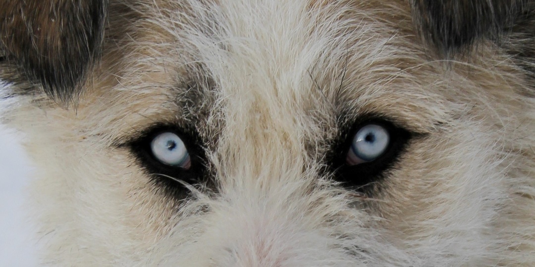 Один из самых необычных наших выпускников 10 лет спустя