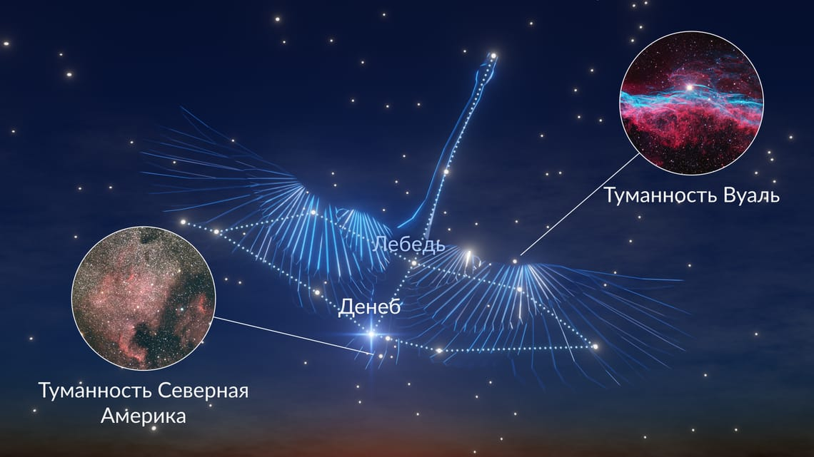Лебедь — большое северное созвездие вдоль Млечного Пути, занимающее 804 квадратных градуса.