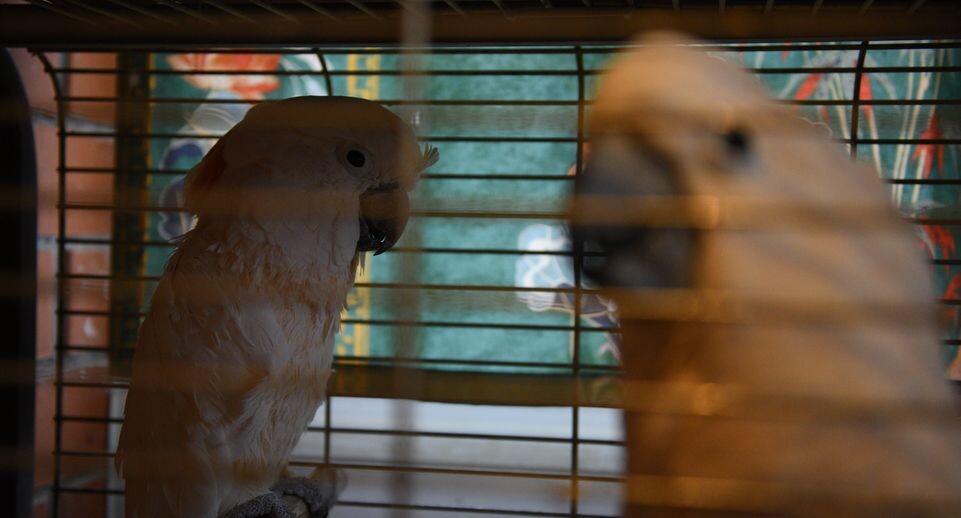    Медиасток.рф