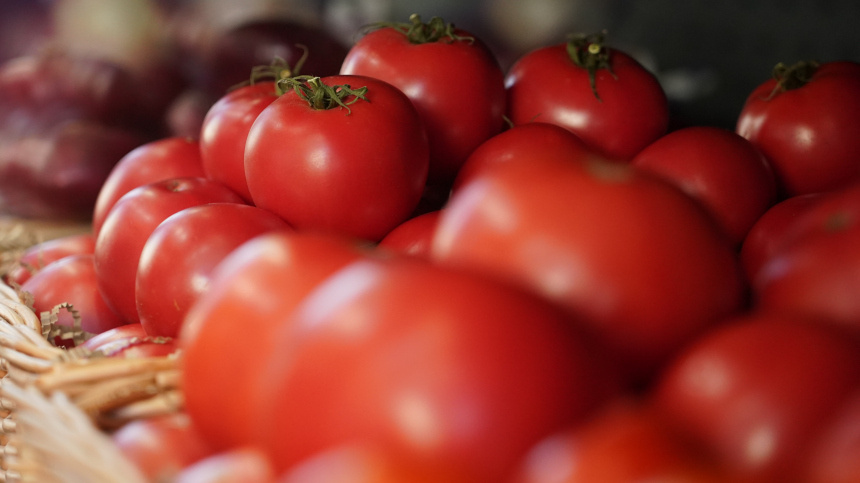    Фото: ИЗВЕСТИЯ/Павел Волков
