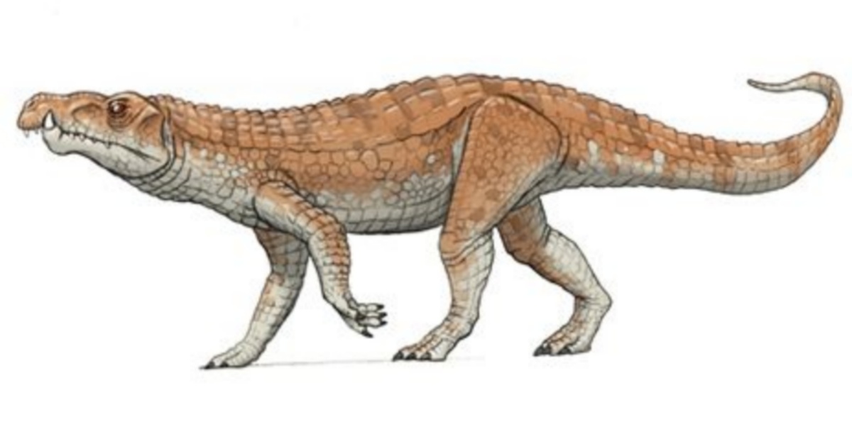 Орнитозухид венатикозух.