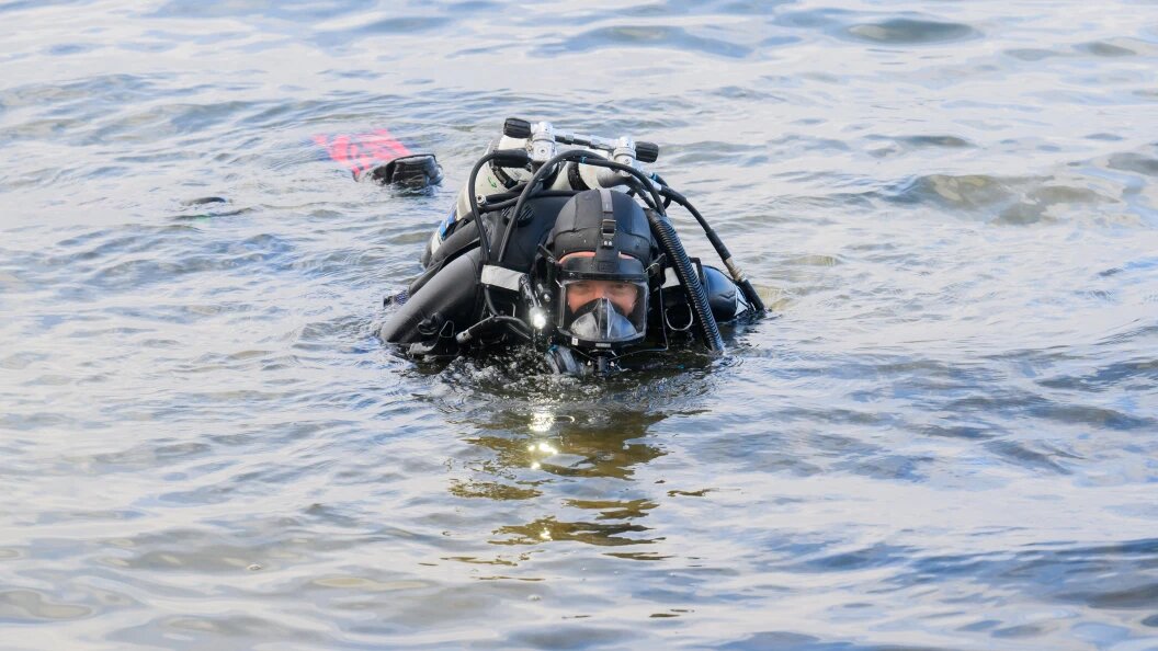    Фото: Christian Charisius/dpa/Globallookpress