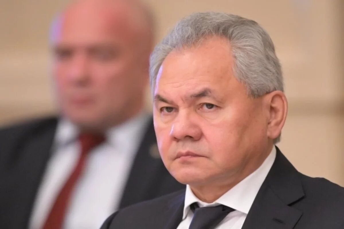    Шойгу: Россия готова помочь стабилизировать обстановку в Афганистане