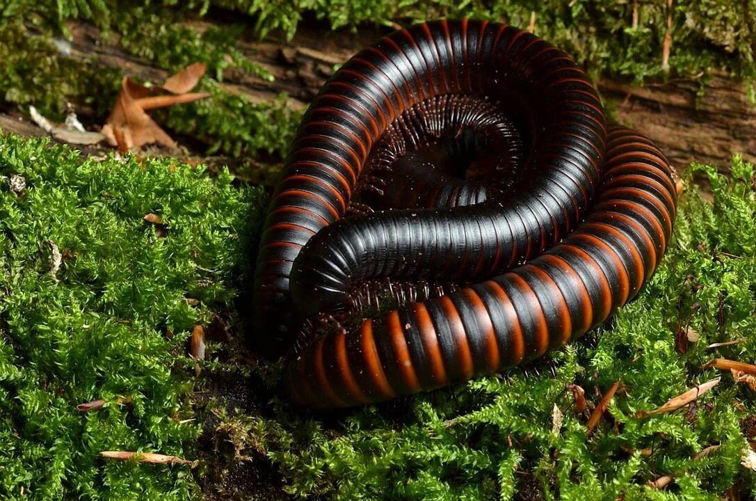 Фотография взята из свободных источников