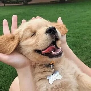 Фото с просторов 