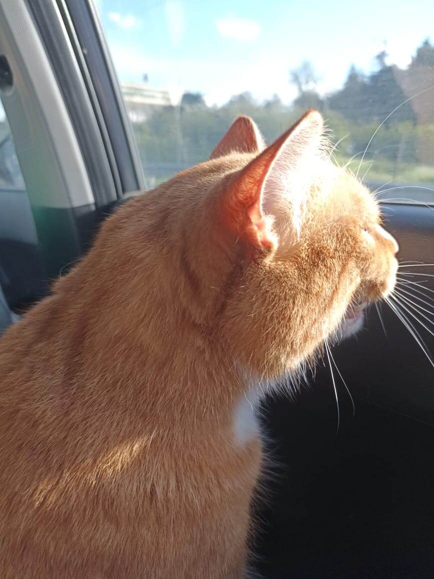 Василий негодовал)) 