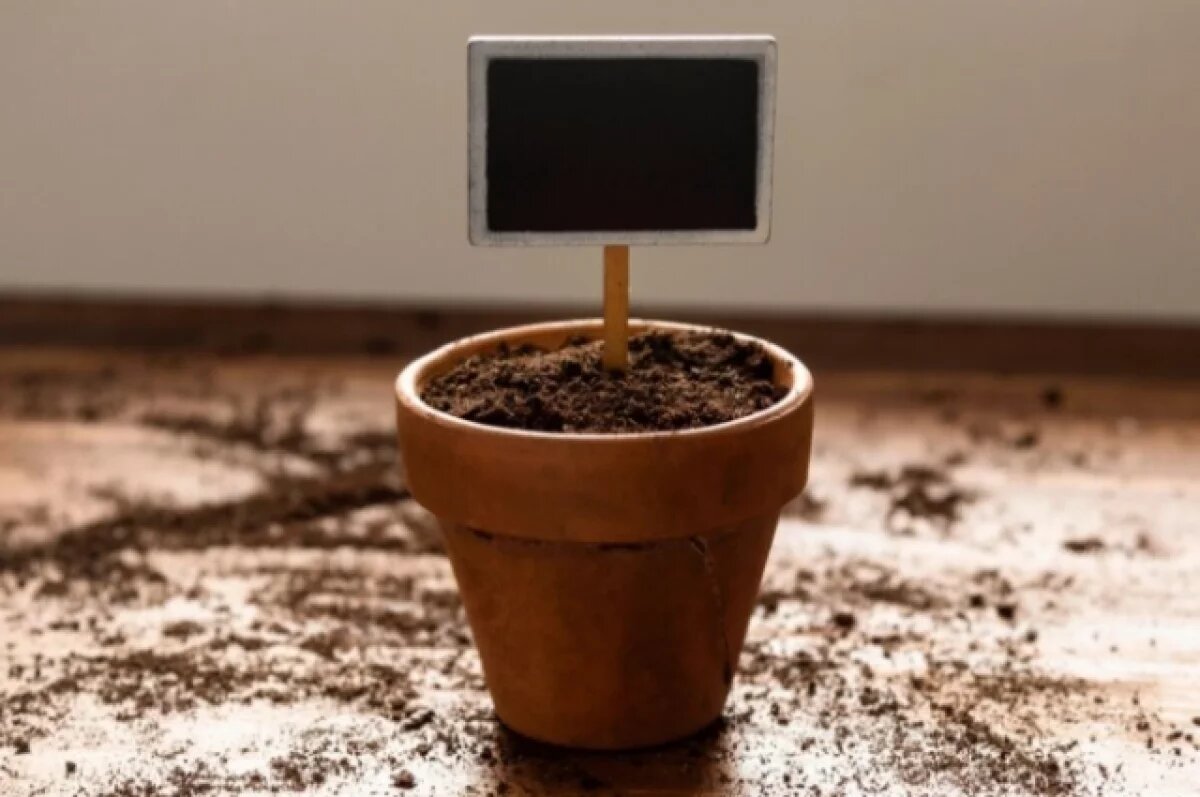    Нитраты, пестициды и яйца гельминтов выявили в почвах на Сахалине