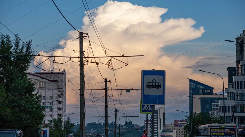     Лето в Барнауле, 2025 год. Дарья Беркетова