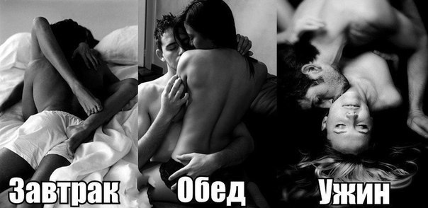 Яндекс Открытый источник 