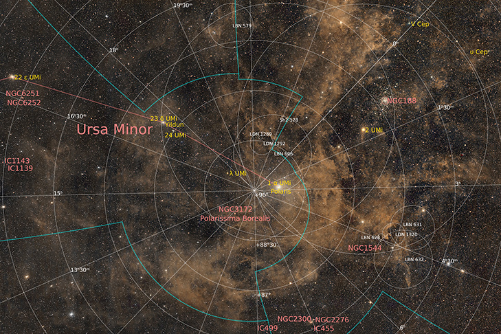 © Фото Алексея Полякова.📷
